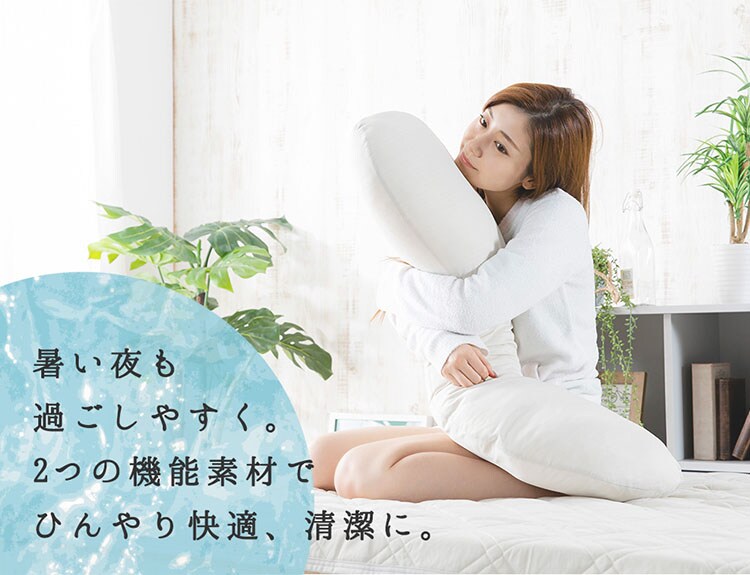 クリアグローブ 抗菌防臭・接触冷感クール抱き枕 EIBP-001 全4色【プラザセレクト】11