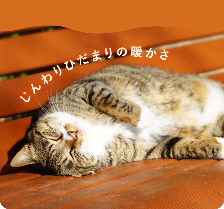 オイルヒーター 8畳 温度調節 POH-1210KS-W ホワイト3