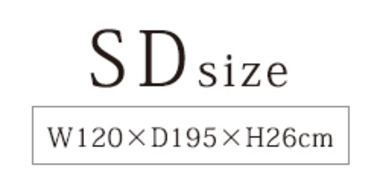 SDサイズ