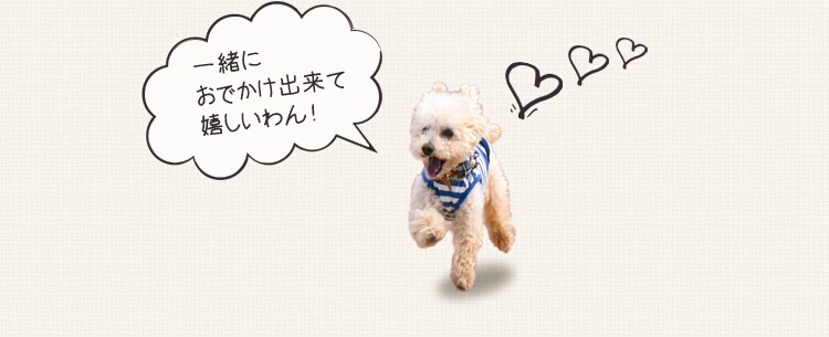 プレミアムペットキャリー Sサイズ ブラウン PC-S002 S BR 犬 猫 キャリー5