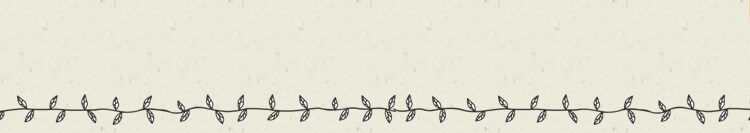 2WAYアウトドアペットキャリー ブラック PC-S004 L BK 犬 猫 キャリー2