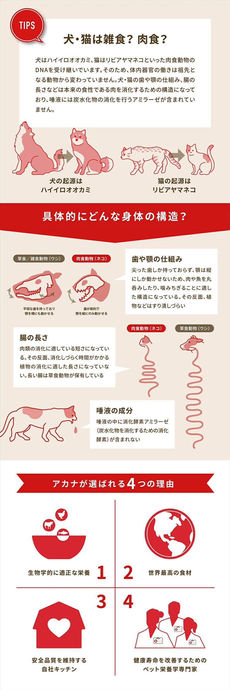 アカナ アダルトスモールブリード 2kg 犬 フード1