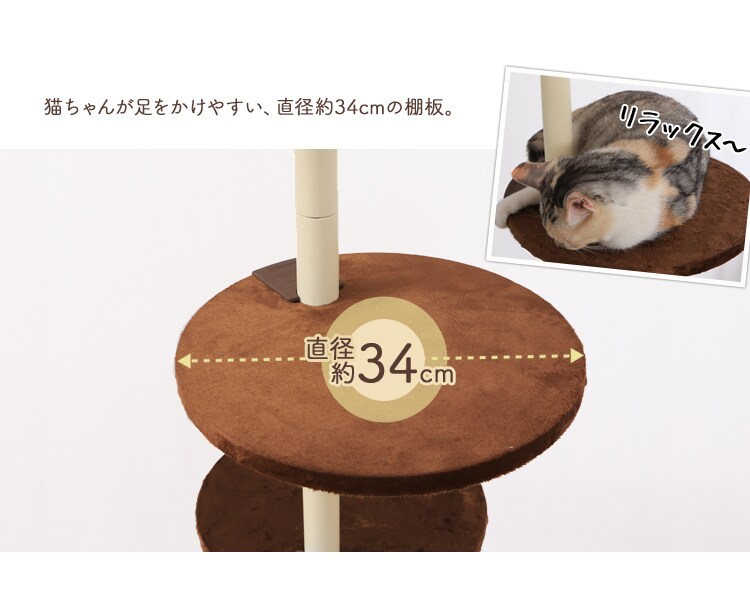 ボンビアルコン キャットポール ナチュラル 13