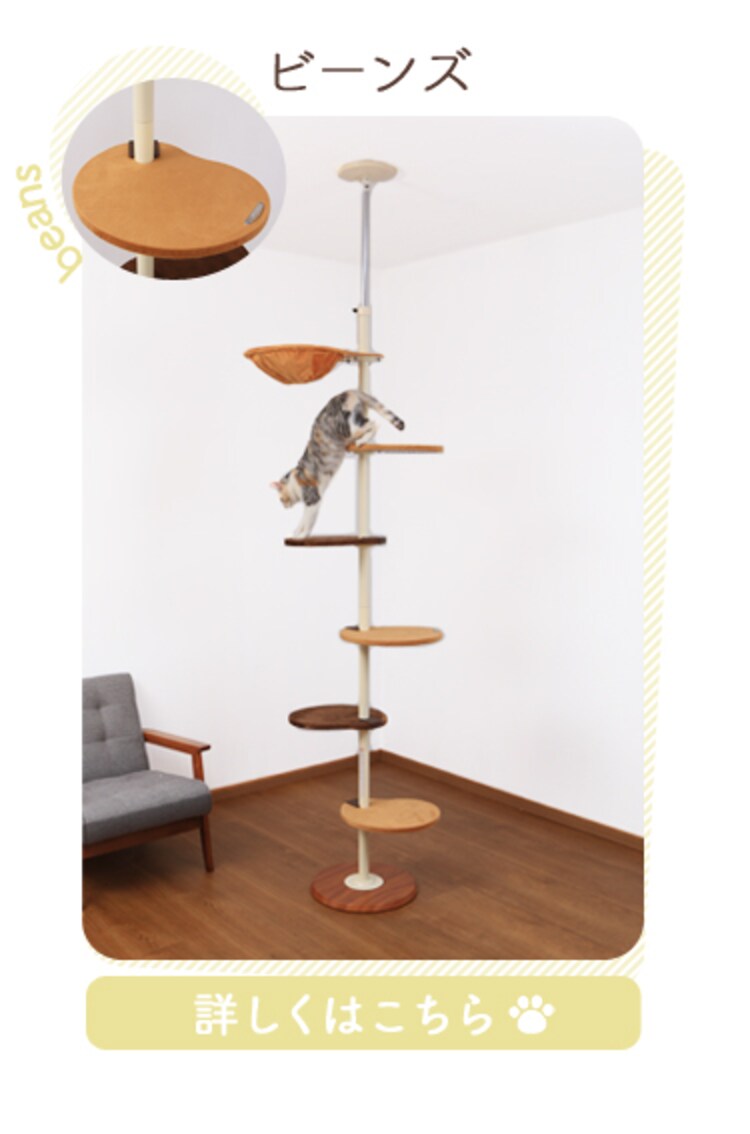 ボンビアルコン キャットポール ナチュラル 22