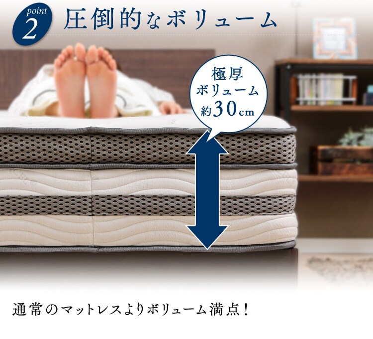 ポイント2・圧倒的なボリューム