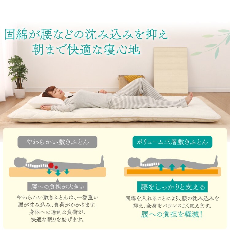 固綿が腰をしっかり支える