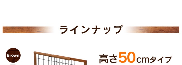ラインナップ
