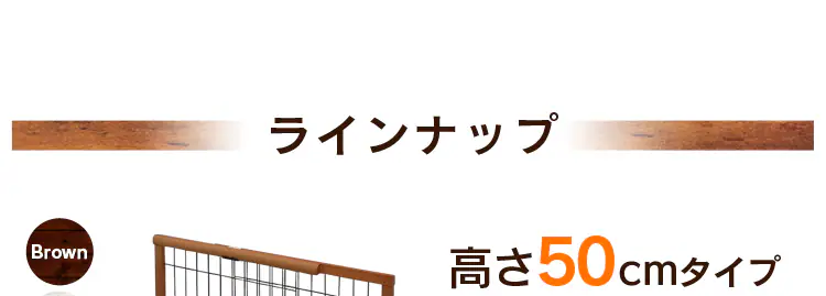ラインナップ