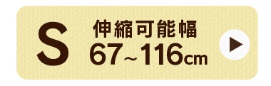 Sタイプ