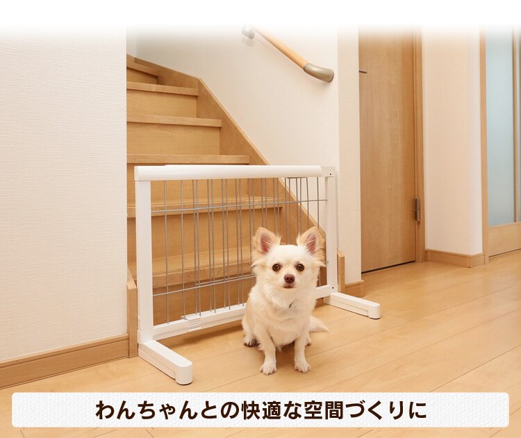 わんちゃんとの快適な空間づくりに
