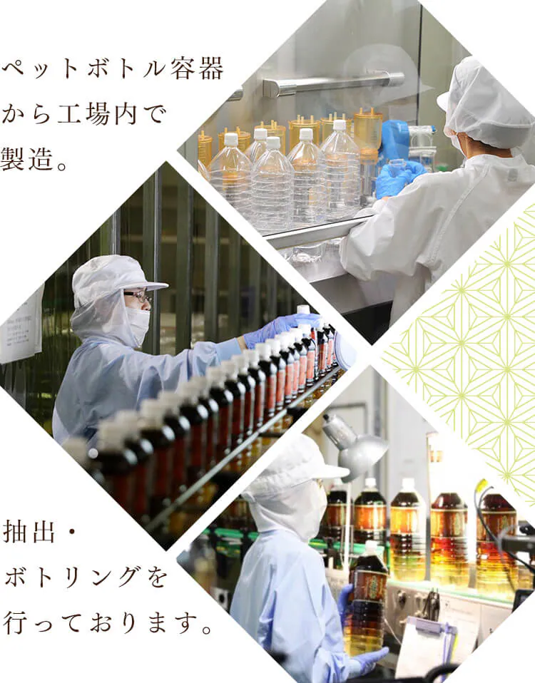 LDC お茶屋さんの緑茶・烏龍茶2L 6本 【プラザセレクト】【プラザマーケット】5