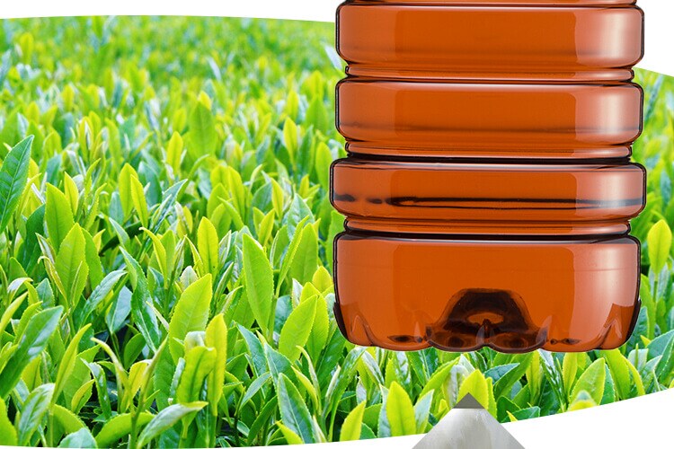 LDC お茶屋さんの緑茶・烏龍茶2L 6本 【プラザセレクト】【プラザマーケット】12
