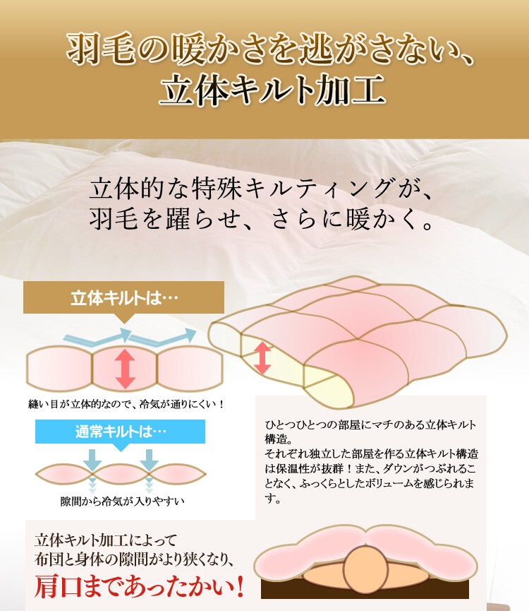 羽毛布団 ホワイトダックダウン70% 1.0kg シングルロング PAA19RP 無地/ブラウン13