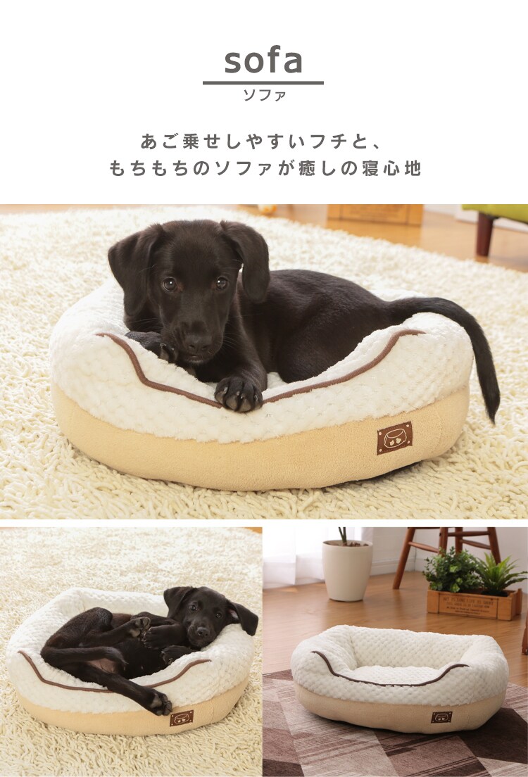 ラインナップ
