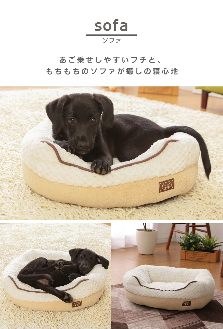 ラインナップ