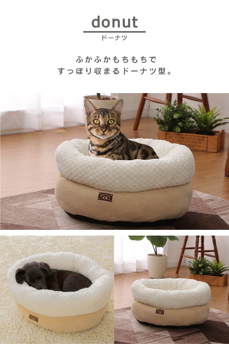 オーバルソファシーン