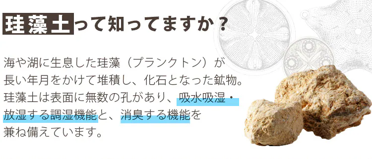 珪藻土って知ってますか