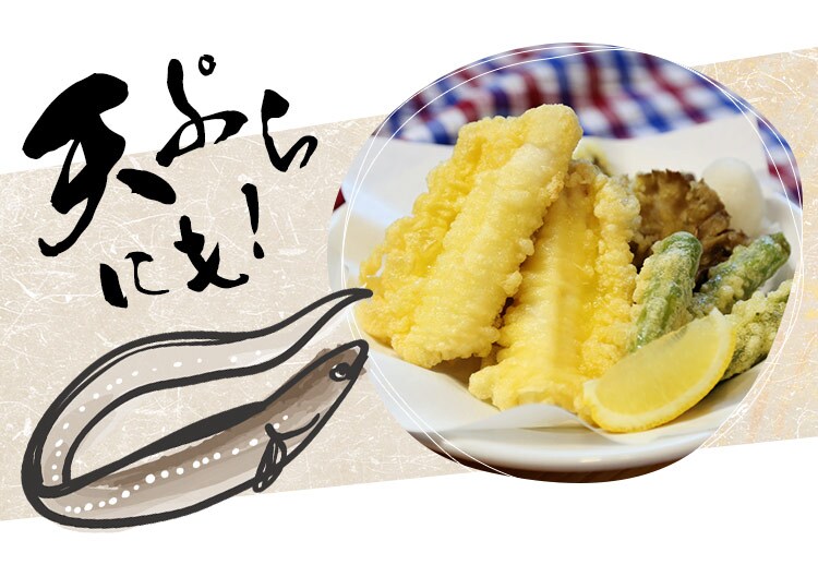 伊達あなごの一夜干し140ｇ×2パック 【プラザセレクト】4