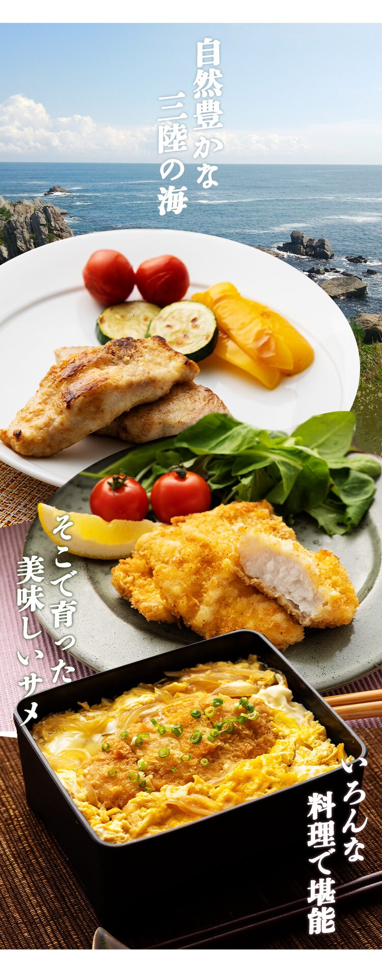 サメ肉 食べ比べセット（ヨシキリザメ・アオザメ） 【時間指定不可】【代引き不可】6