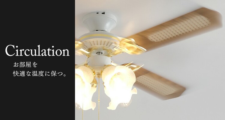 サーキュレーション