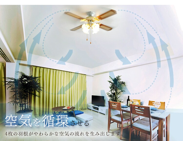 サーキュレーション