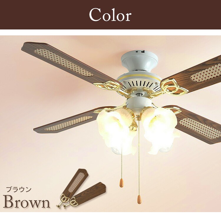 2カラー ブラウン