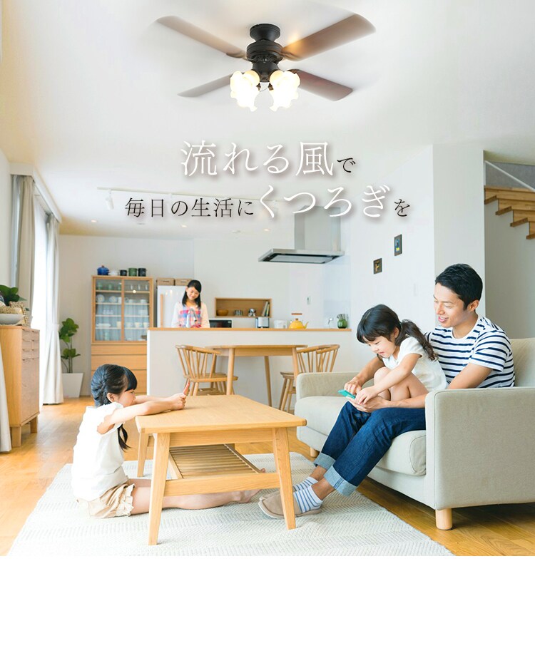 風量 風向き