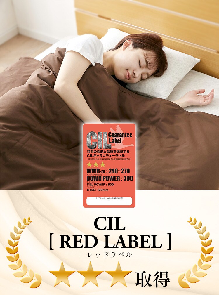 ダウンケット WDD85％ 0.2kg SL 全4色【プラザセレクト】10