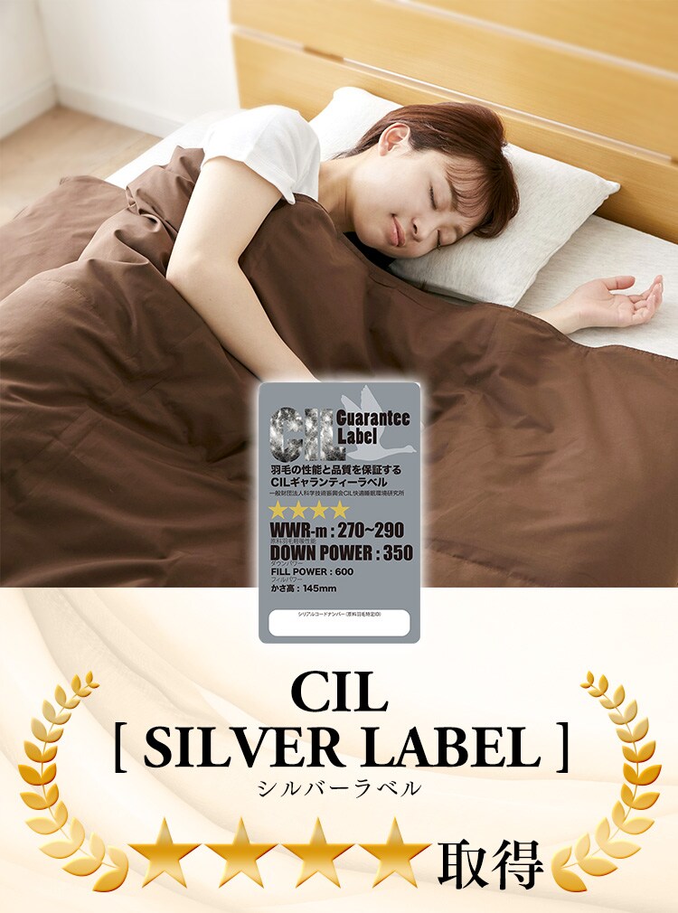 【2枚セット】ダウンケット WDD90％ 0.2kg SL ベージュ（無地）11