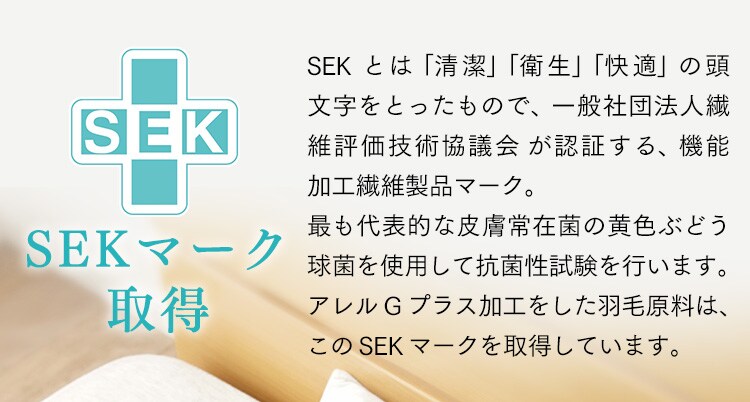 【2枚セット】ダウンケット WDD90％ 0.2kg SL ベージュ（無地）19