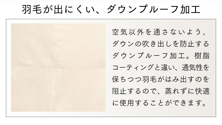 【2枚セット】ダウンケット WDD90％ 0.2kg SL ベージュ（無地）27