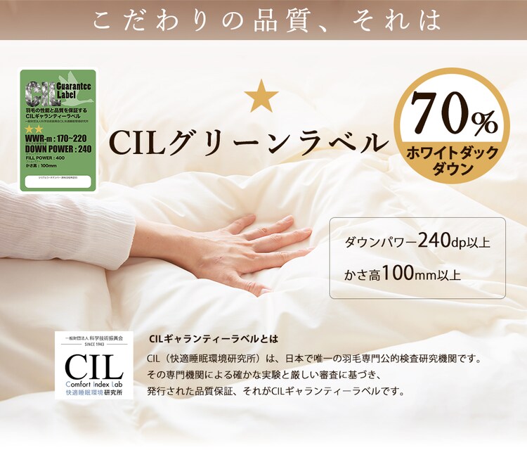 羽毛布団 ホワイトダックダウン70% 1.0kg シングルロング PAA19RP 無地/ブラウン3