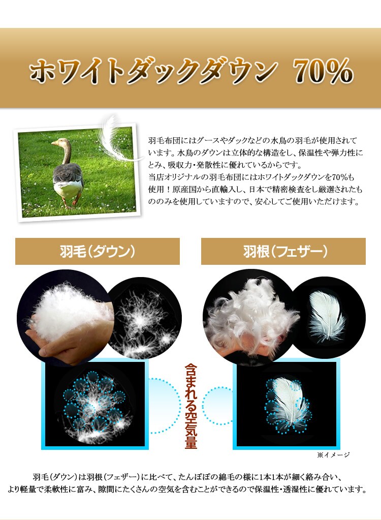 羽毛布団 ホワイトダックダウン70% 1.0kg シングルロング PAA19RP 無地/ブラウン10