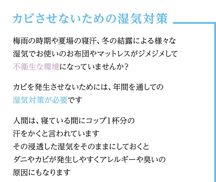TEIJIN  帝人ベルオアシス 除湿シート（防ダニ加工/AG消臭機能付） ダブル ブルー 53/BJKX177.0000 1