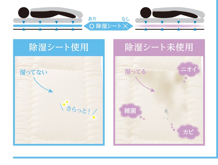TEIJIN  帝人ベルオアシス 除湿シート（防ダニ加工/AG消臭機能付） ダブル ブルー 53/BJKX177.0000 2