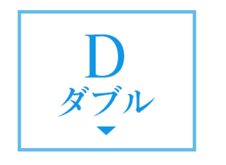 TEIJIN 帝人ベルオアシス 除湿シート(防ダニ加工/AG消臭機能付) クイーン ブルー 53/BJKX178.0000 19