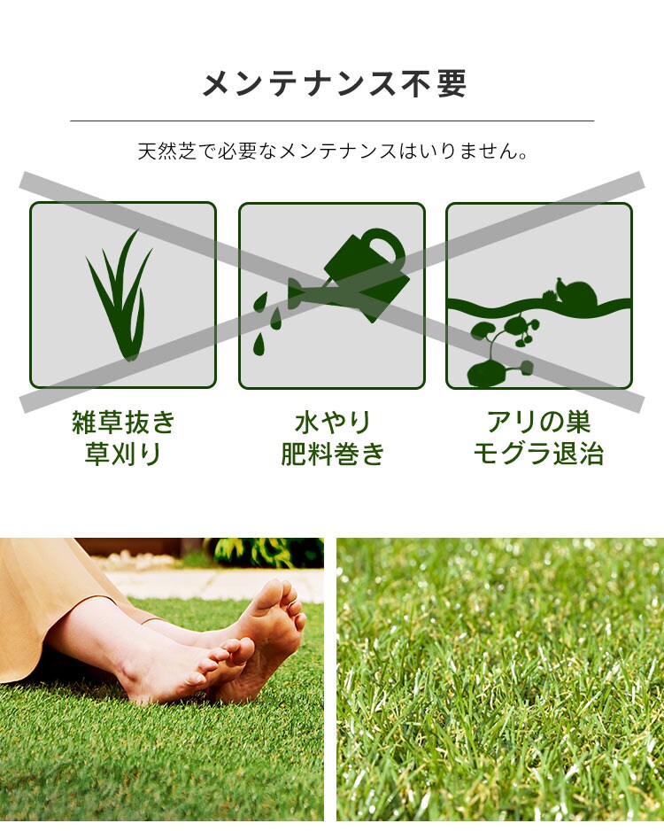 リアル防草人工芝 Rp 2m 10m 平米 単品 セット 3営業日以内発送予定 f アイリスプラザ アイリスオーヤマ公式通販サイト