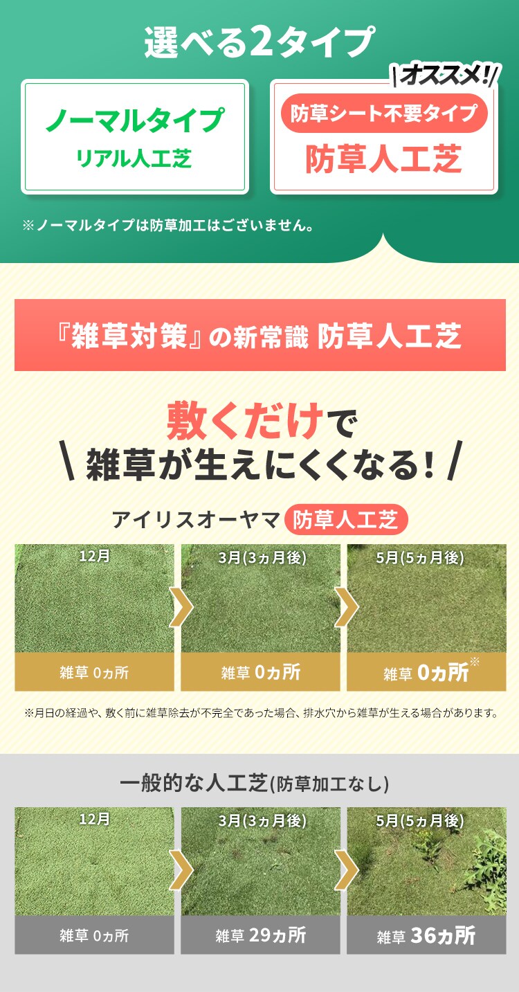 【2点セット】人工芝 2m×5m 芝丈30mm 国産 リアル質感 ロールタイプ IP-30251