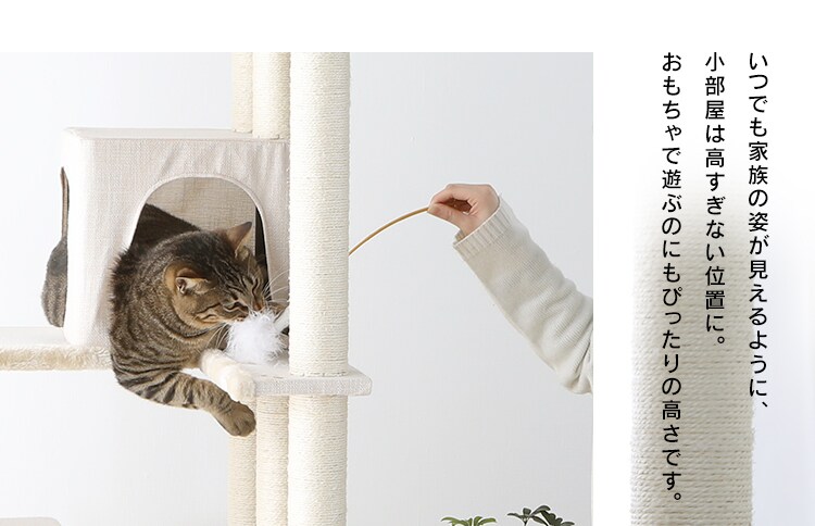 キャットタワー CCCT-6060S 全3色9