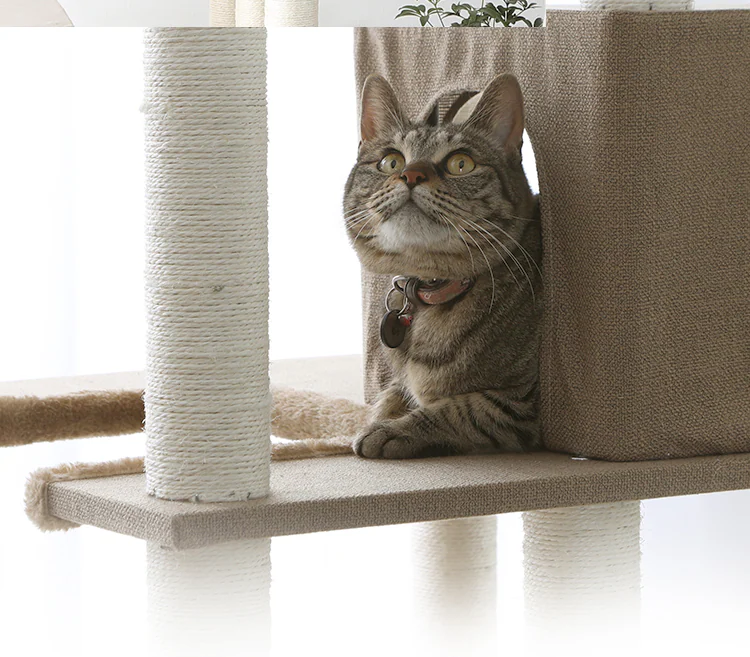 キャットタワー CCCT-6060S 全3色10