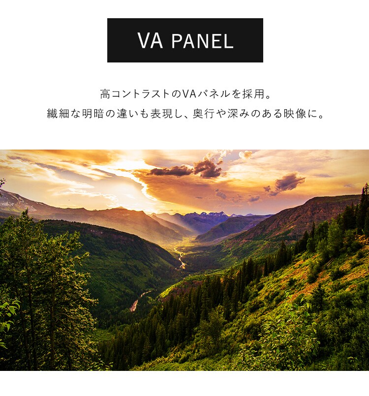 液晶ディスプレイ ブラック PLD-F221 2