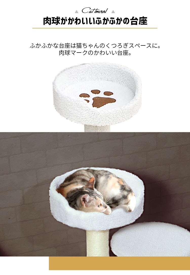 キャットタワー 据え置き CTLR-50 3