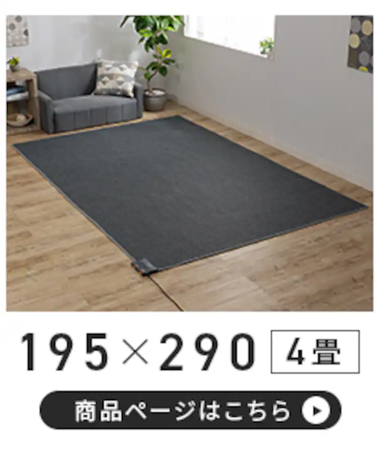 カーペット 2畳 ラグセット TEKNOS HCMF-IR200 ベージュ 15