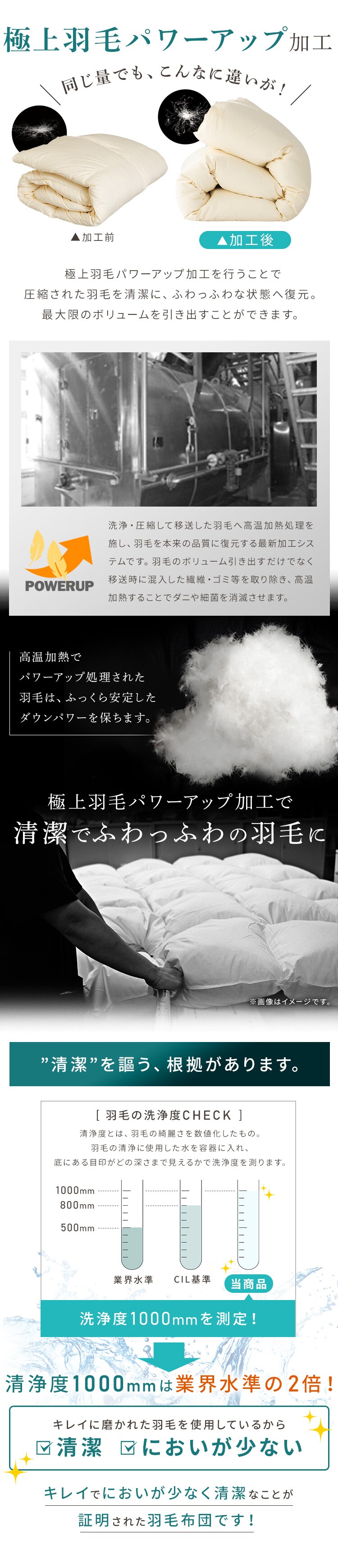 羽毛布団　ダブル　フランス産ホワイトダックダウン93％ 1.4kg 無地　ベージュ【直送】 3