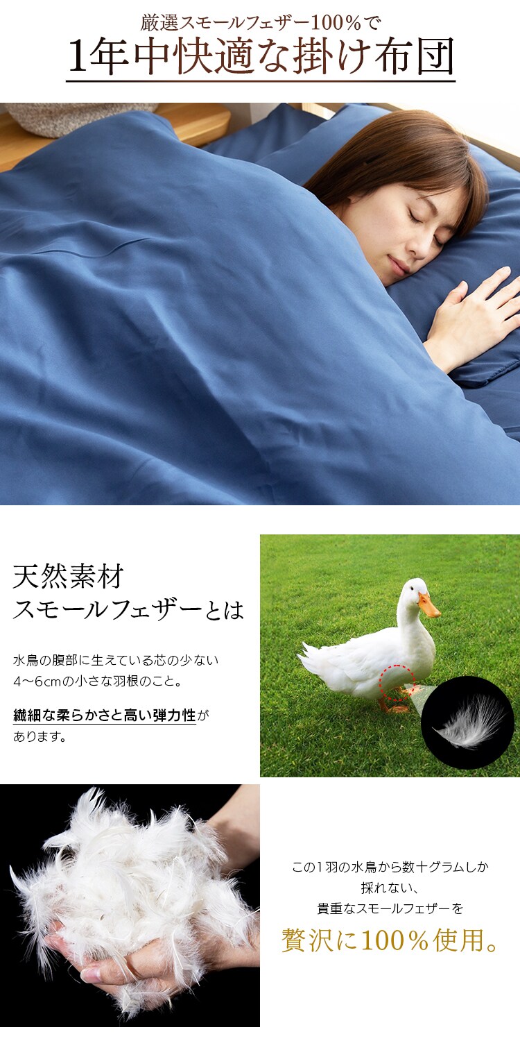 羽根布団9点セット D HNFT9-D アイボリー3