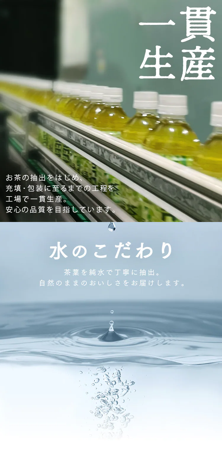 【48本】ルイボスティー 500ml【代引き不可】1