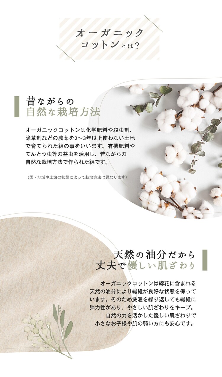 オーガニックボックスシーツ シングル OBSS-950 ベージュ7