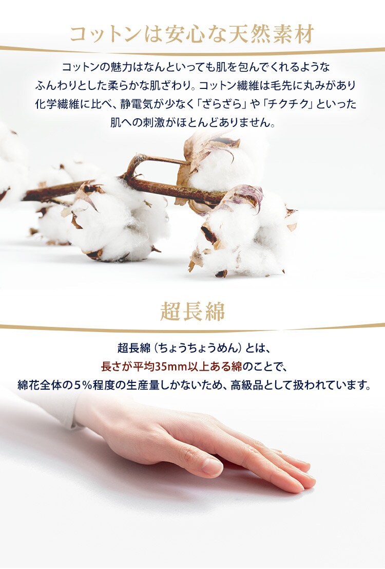 v~ARbg {bNXV[c Z~_u BSTH-SD S3FyvUZNgz2