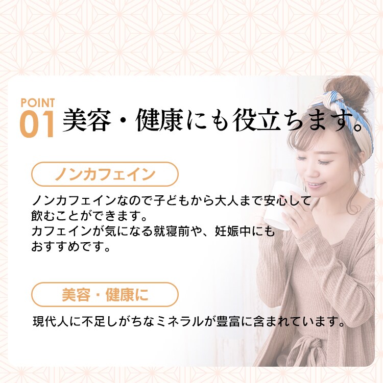 【メール便】はと麦茶ティー包 100包【代引き不可】5