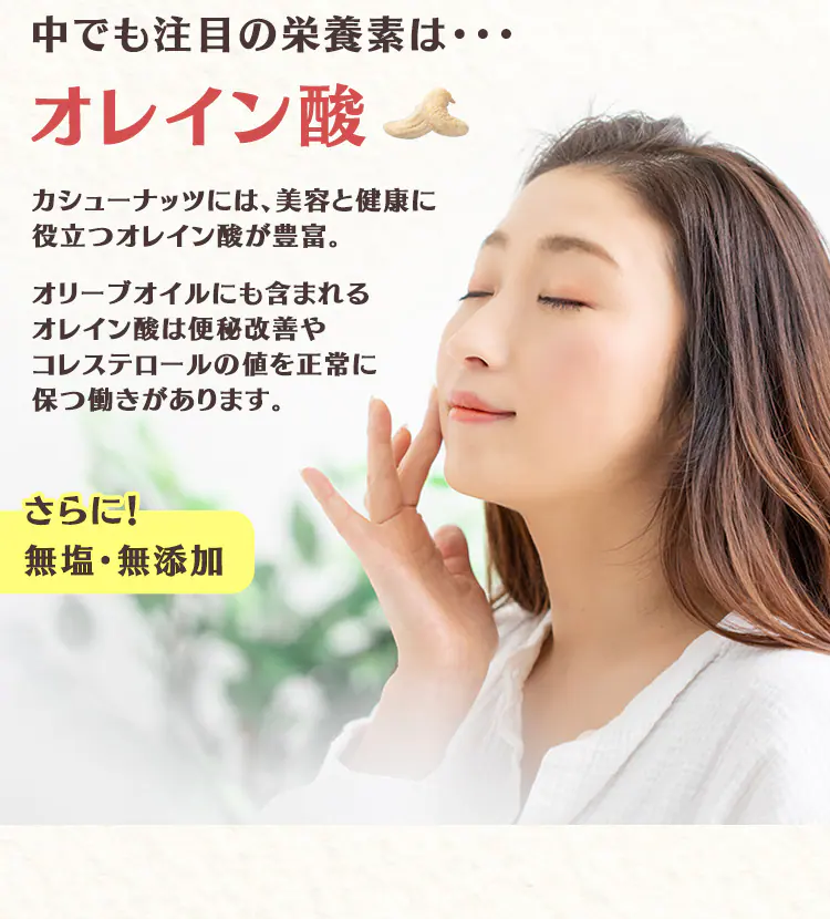 【2袋】 素焼きカシューナッツ 無塩 500g×2 【代引き不可】5